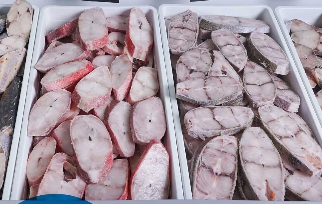 frozen fish