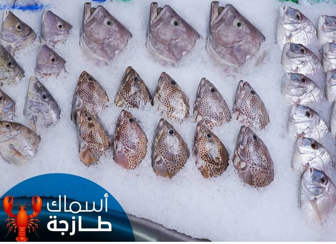 fresh seafood